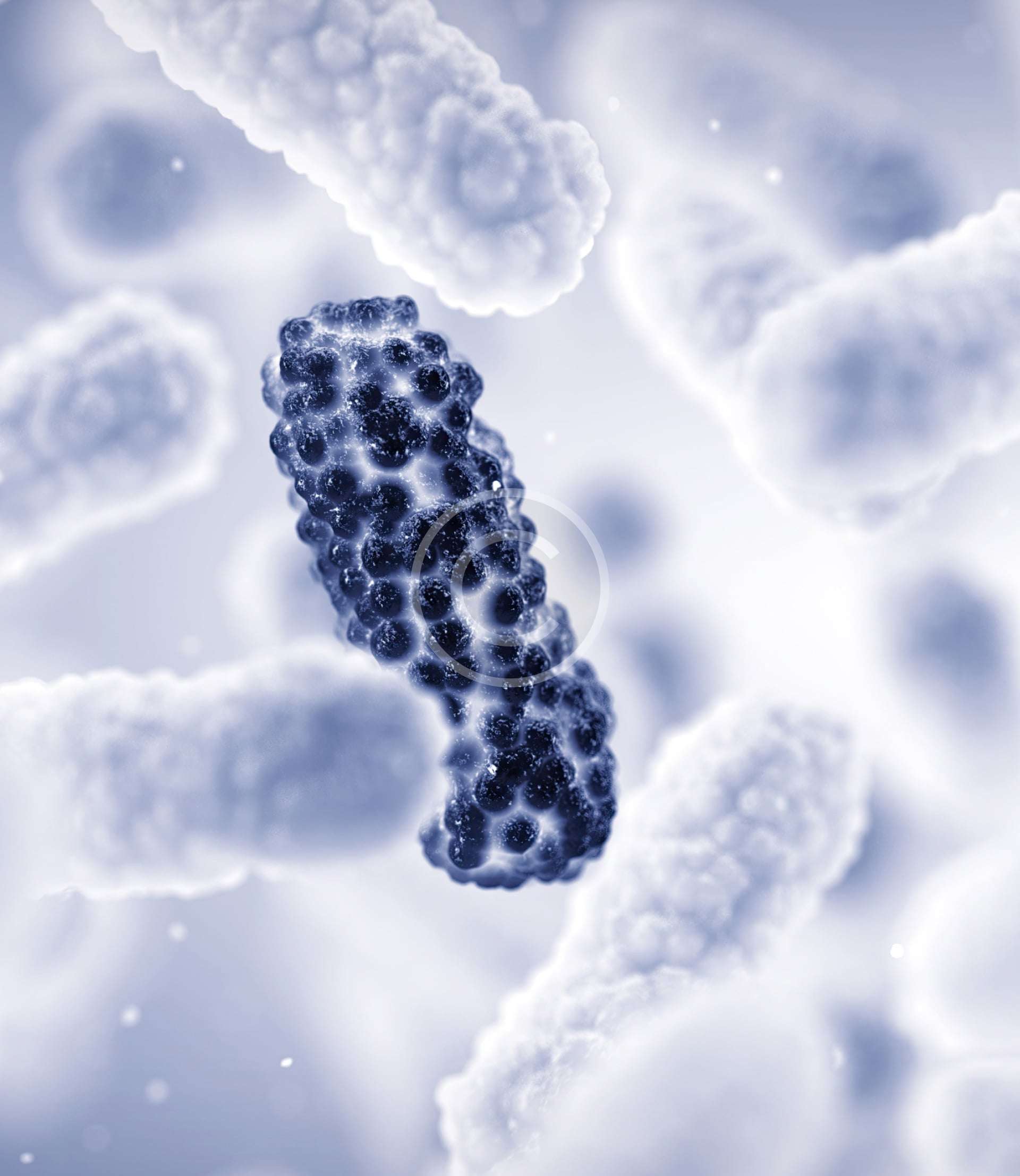 Cellular Microbiology