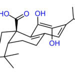 Carnosic Acid – Powder
