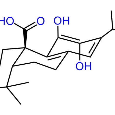 Carnosic Acid – Powder