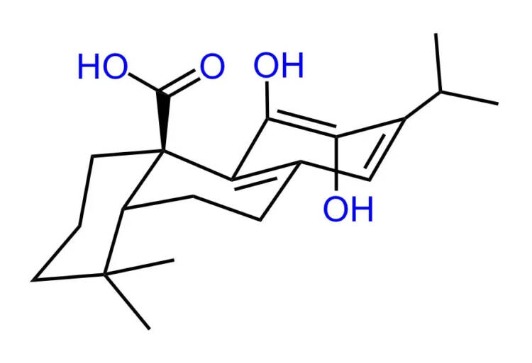 Carnosic Acid – Powder