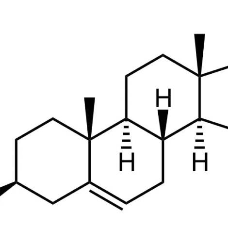 Dehydroepiandrosterone (DHEA)