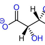 Magnesium L-threonate – Powder
