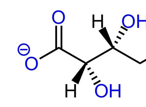 Magnesium L-threonate – Powder