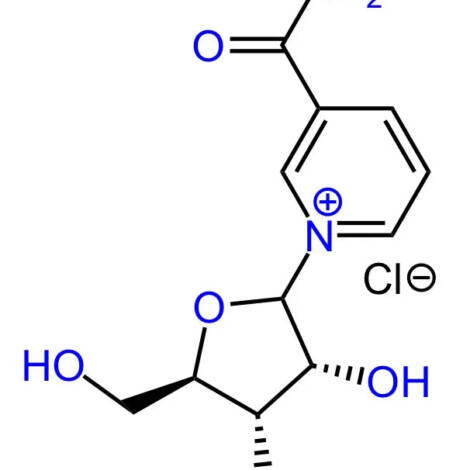 Nicotinamide Riboside Chloride – Powder