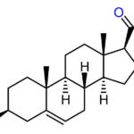 Pregnenolone